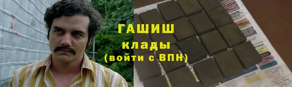прущие грибы Наволоки