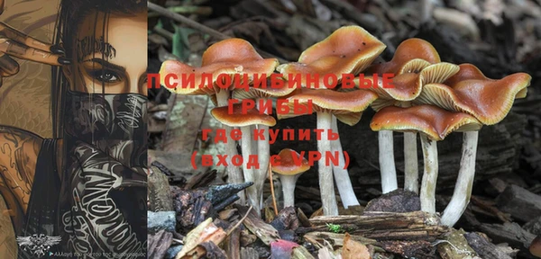 гашишное масло Надым