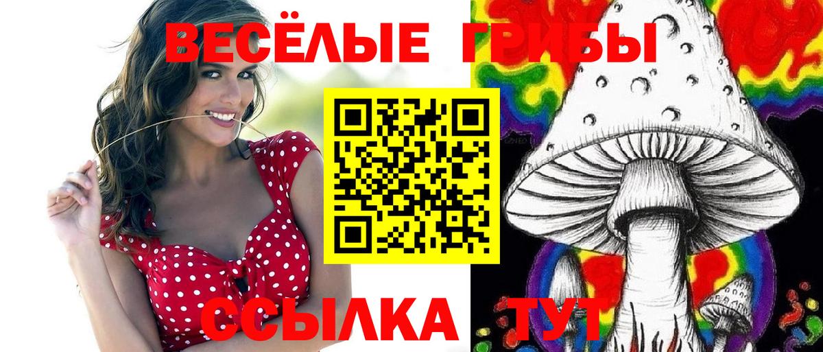 Галлюциногенные грибы MAGIC MUSHROOMS Нарьян-Мар