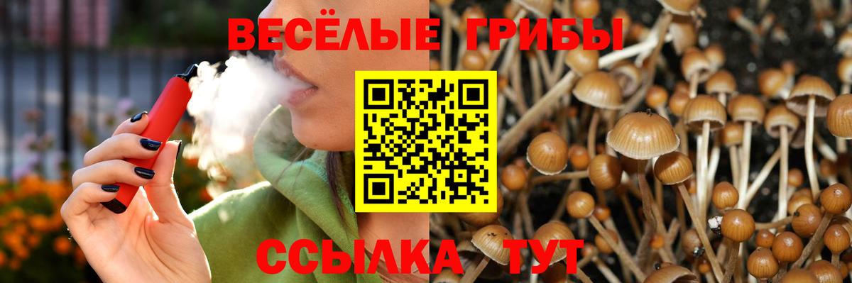 Псилоцибиновые грибы прущие грибы  Галлюциногенные грибы мухоморы  Нарьян-Мар  Вход с VPN 